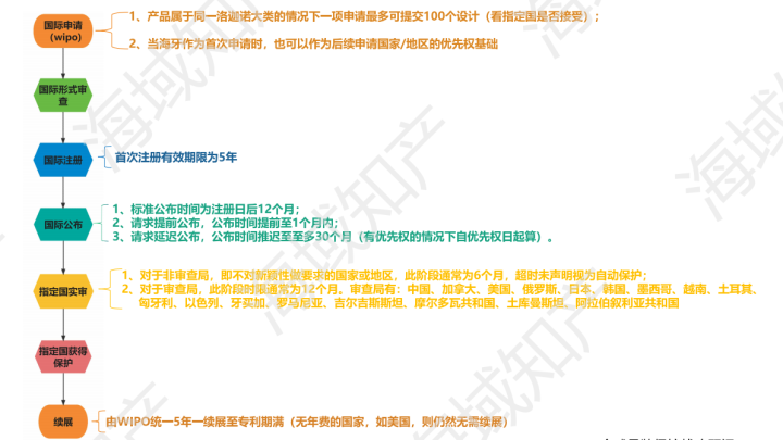 海牙申请流程2.png