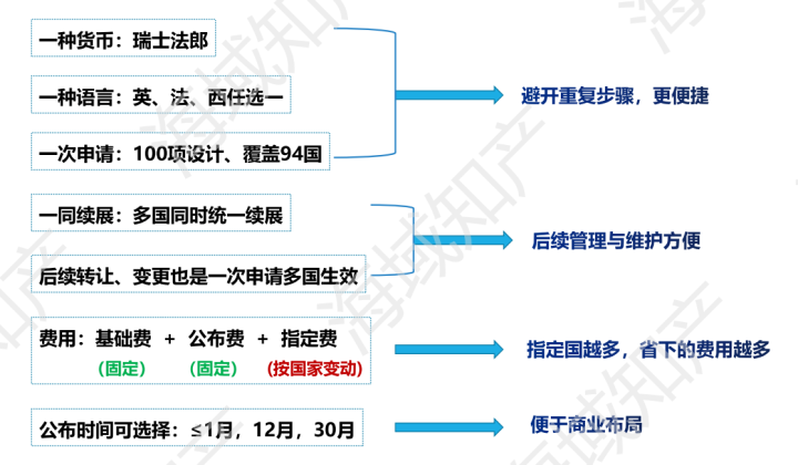 海牙申请优势.png