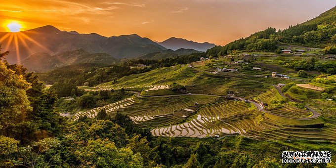 日本商标 日本商标