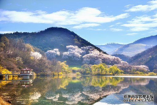 韩国商标 韩国商标