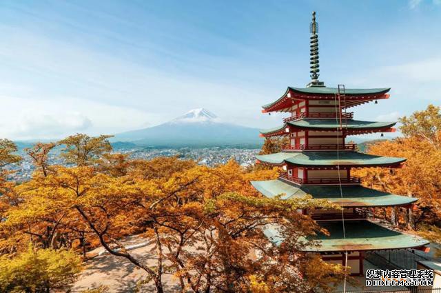 日本商标注册详解