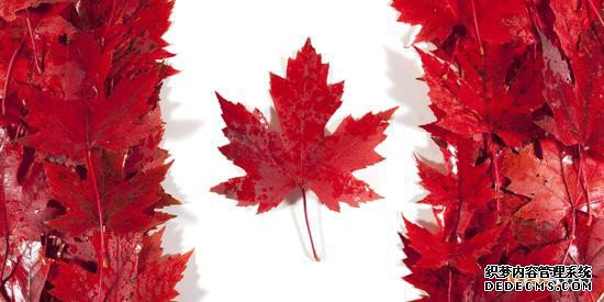 申请加拿大商标注册需要注意什么? 申请加拿大商标注册需要注意什么?