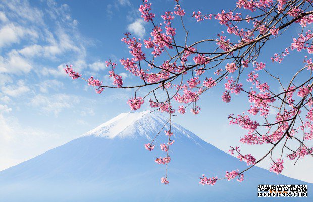 日本商标注册的详细指南是怎样的？