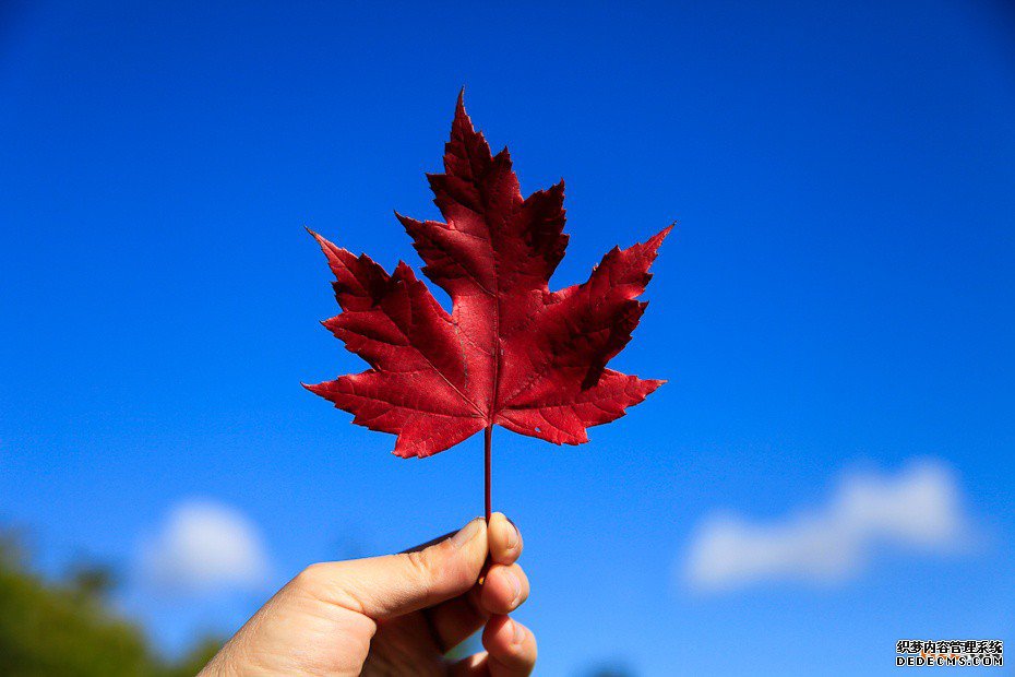 加拿大商标注册申请的资格有哪些? 加拿大商标注册申请的资格有哪些?