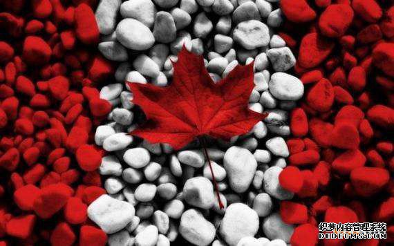 加拿大商标注册常见的问题有哪些？