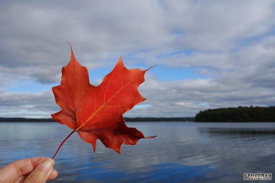 注册加拿大商标与未注册加拿大商标之间的差别 注册加拿大商标与未注册加拿大商标之间的差别