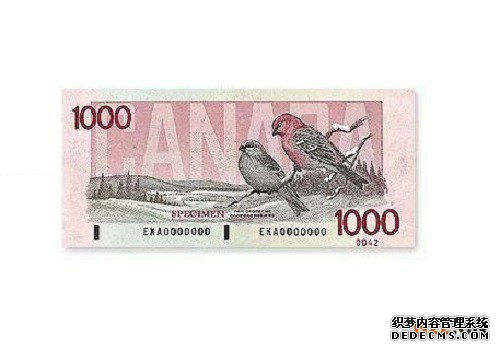 注册加拿大商标的官费需要多少钱? 注册加拿大商标的官费需要多少钱?