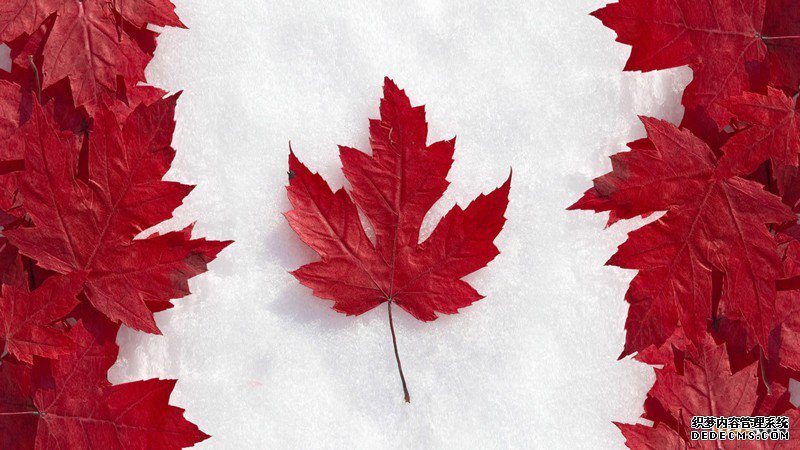 注册加拿大商标的流程是怎样的? 注册加拿大商标的流程是怎样的?