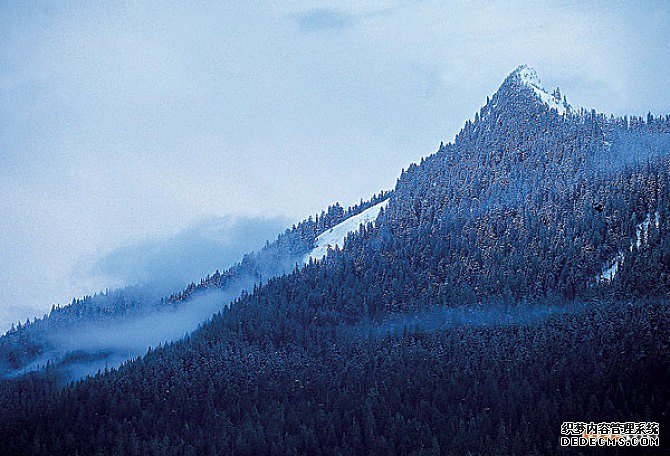 加拿大商标 加拿大商标