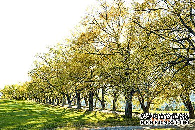 1554702427306290.jpg 美国9.jpg