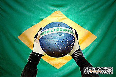 1554345312685780.jpg 巴西1.jpg