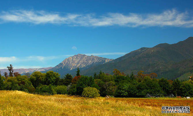 新西兰商标 新西兰商标