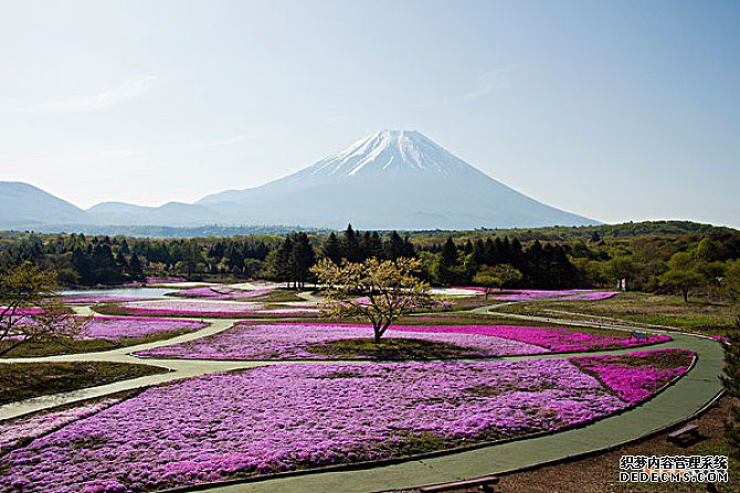 日本商标注册 日本商标注册