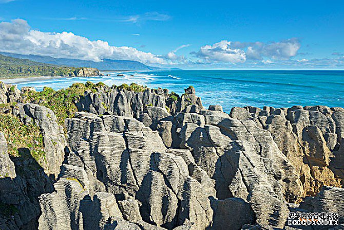 商标注册 商标注册