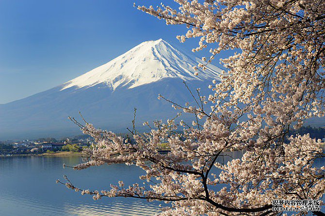 日本商标 日本商标