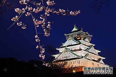 1554781275355242.jpg 1554781275355242.jpg