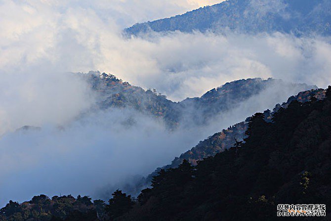 日本商标注册 日本商标注册