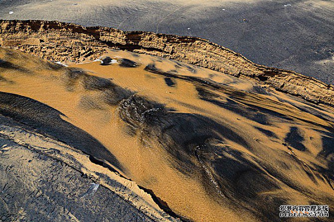 巴西商标 巴西商标