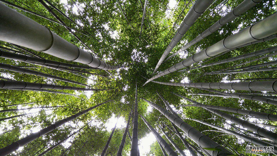 注册韩国商标流程及费用需要多少钱？