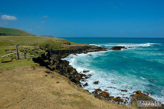 新西兰商标 新西兰商标