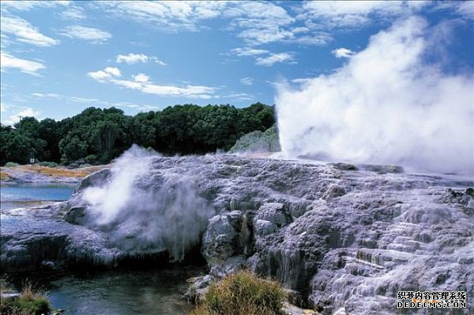 新西兰商标 新西兰商标