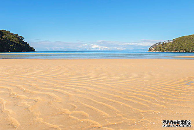 非洲商标 非洲商标