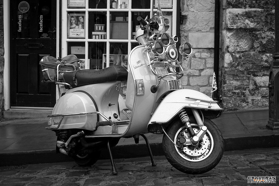 意大利商标 意大利商标