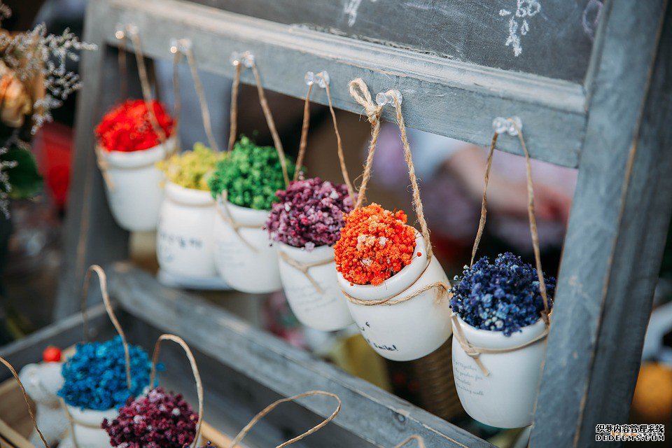 韩国商标 韩国商标