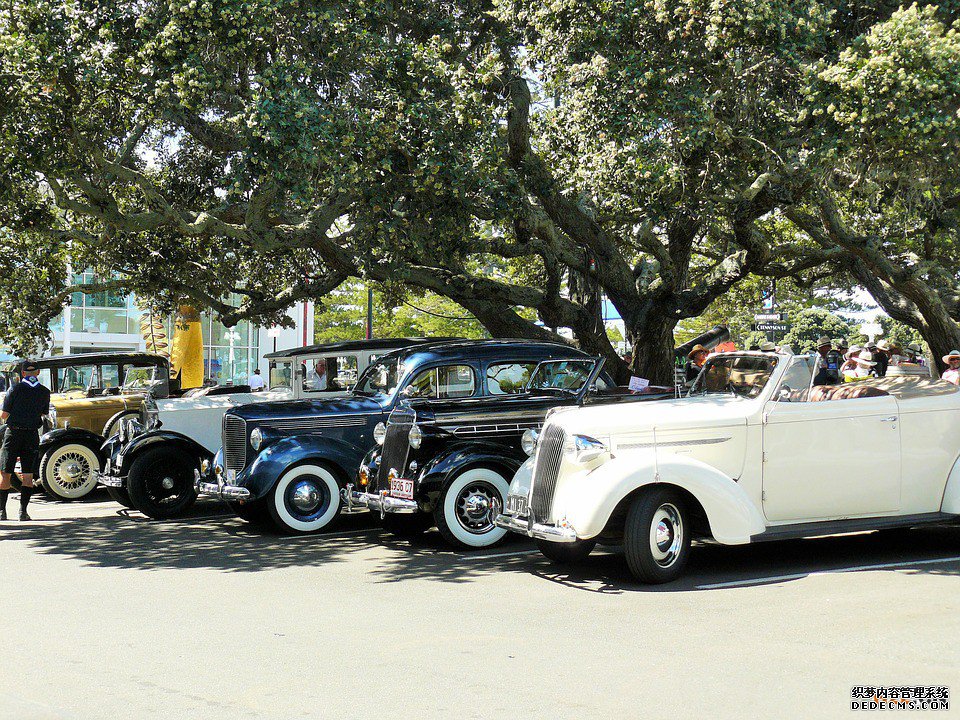 新西兰商标 新西兰商标