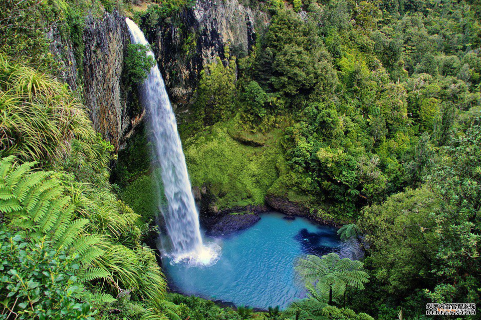 新西兰商标 新西兰商标