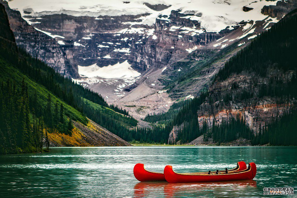 加拿大商标 加拿大商标