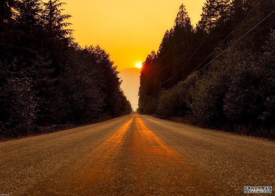 加拿大商标 加拿大商标