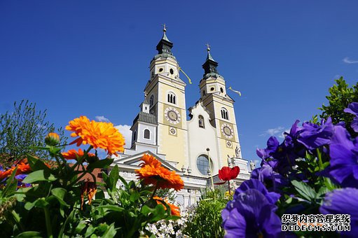 意大利商标 意大利商标