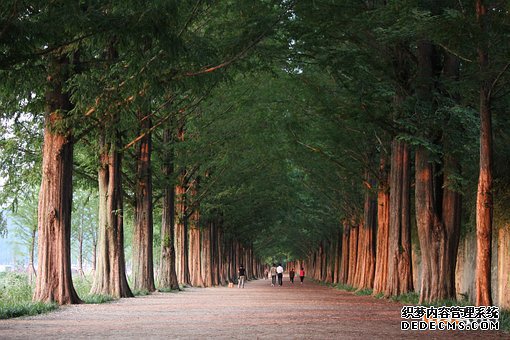 韩国商标 韩国商标