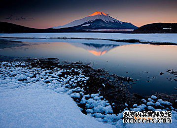 日本商标 日本商标