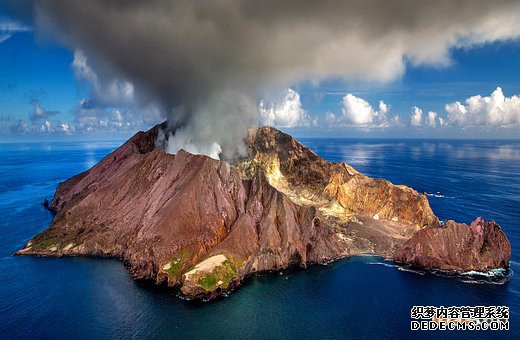 新西兰商标 新西兰商标