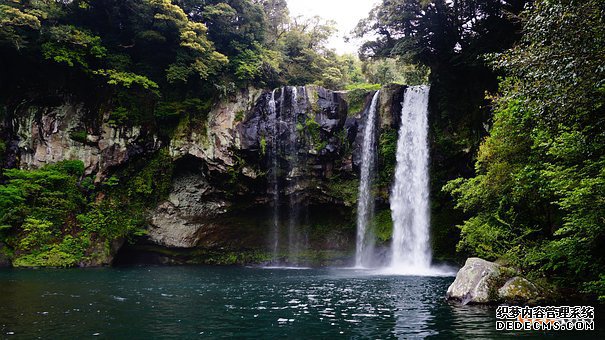 韩国商标 韩国商标