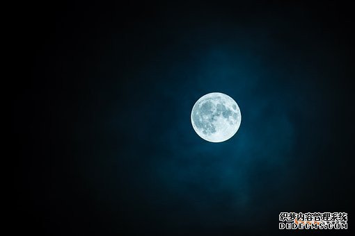 马德里国际商标 马德里国际商标