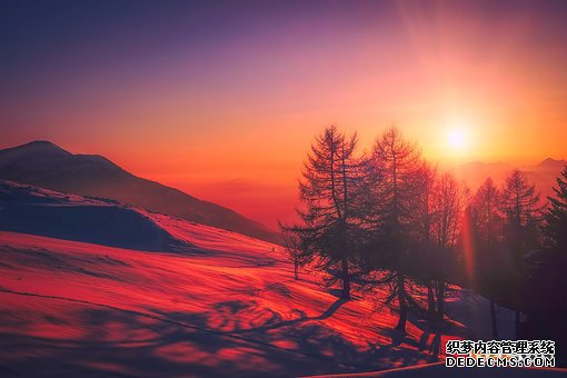 意大利商标 意大利商标