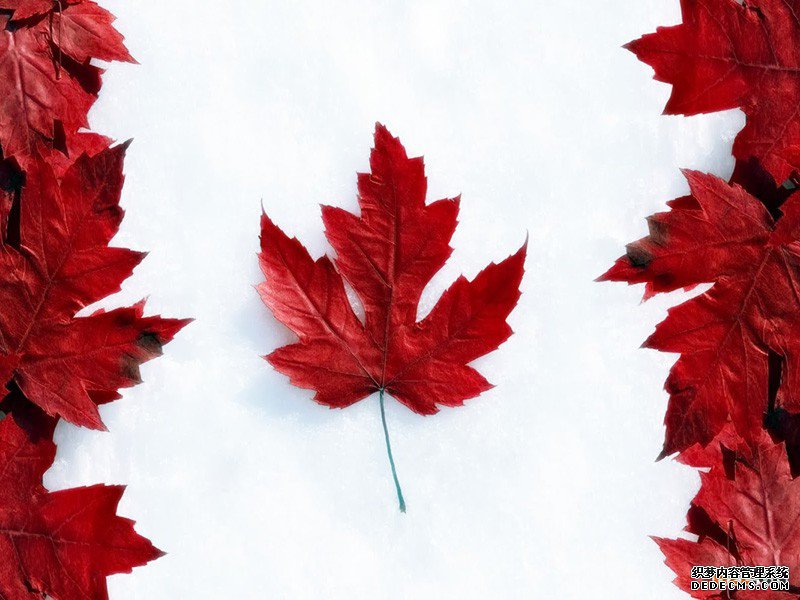 注册加拿大商标的流程 注册加拿大商标的流程