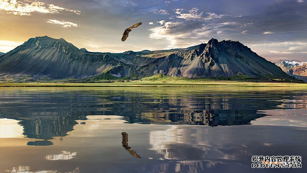 新西兰商标 新西兰商标