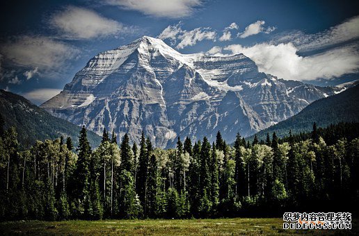 加拿大商标 加拿大商标