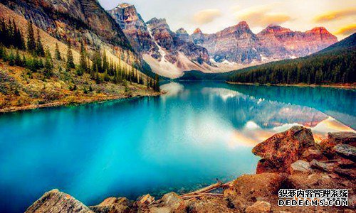 加拿大商标注册