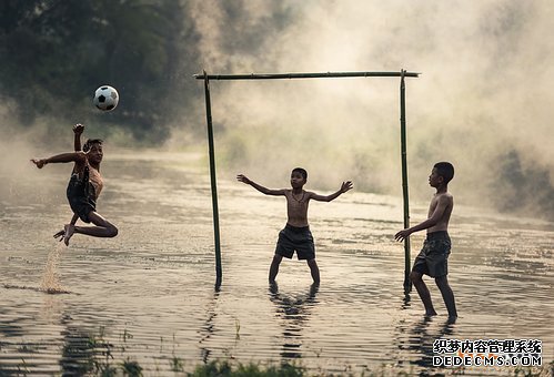 巴西商标 巴西商标