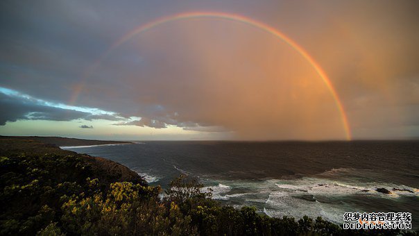 澳大利亚商标 澳大利亚商标