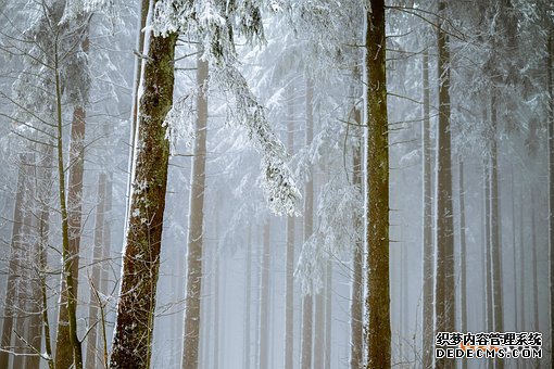 新西兰商标 新西兰商标