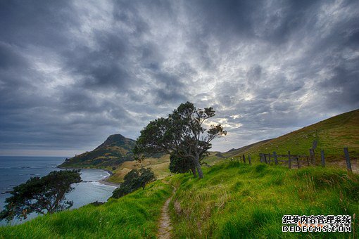 新西兰商标 新西兰商标