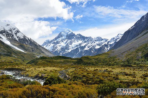 新西兰商标 新西兰商标