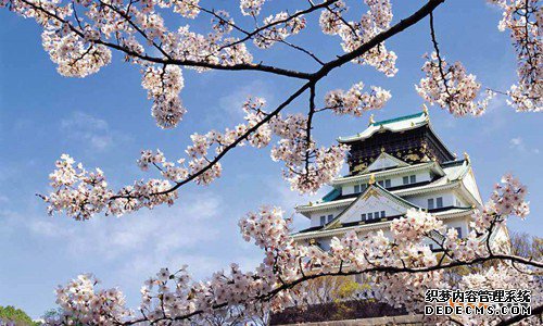 日本商标注册流程 日本商标注册流程