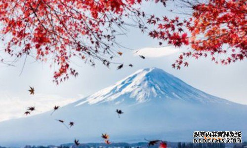 注册日本商标的步骤 注册日本商标的步骤